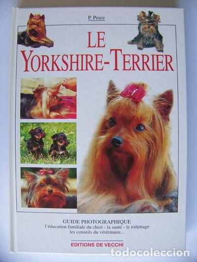 Libros: Le Yorkshire-Terrier- 9782732822990 - Foto 1