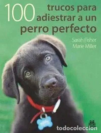 Libros: Cien trucos para adiestrar a un perro perfecto- 9788499100524