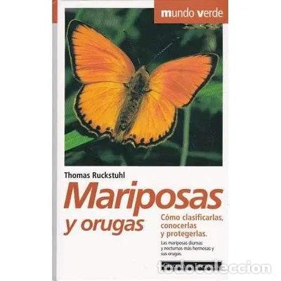 Libros: Mariposas y orugas- 9788422658030