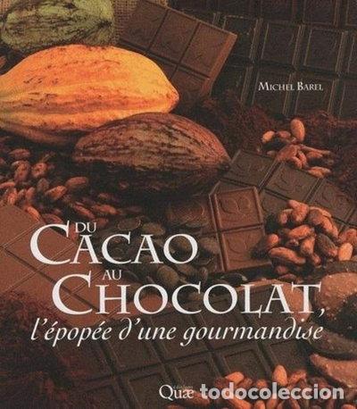 Libros: Du cacao au chocolat, l'&eacute;pop&eacute;e d'une gourmandise- 9782759203888