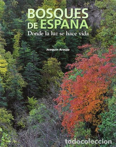 Libros: Bosques de Espa&ntilde;a- 9788497856782