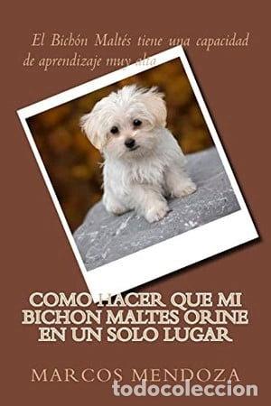 Libros: Como hacer que mi Bich&oacute;n Malt&eacute;s orine en un solo lugar- 9781986555937
