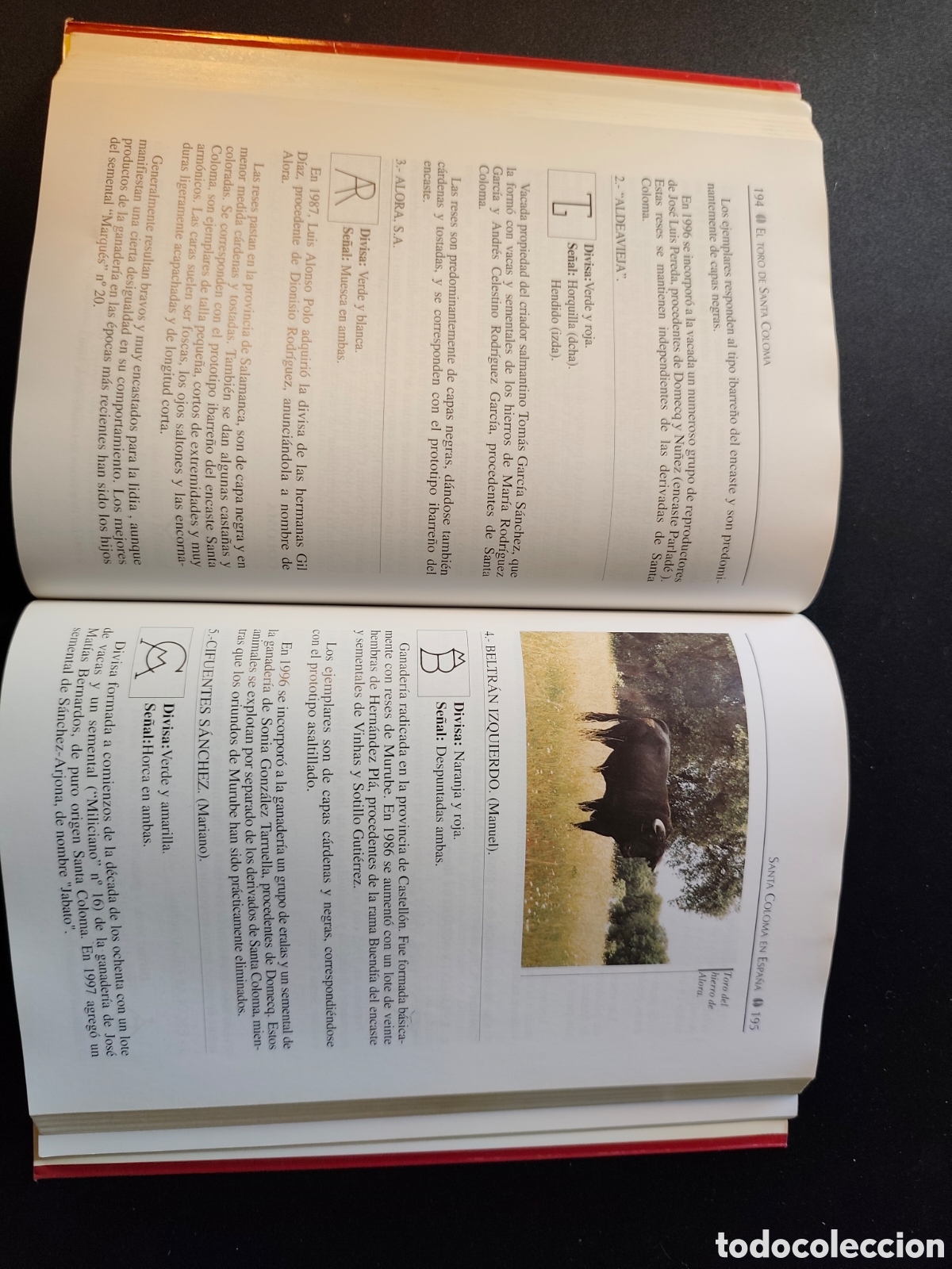 Libros: El toro de santa coloma - Foto 2
