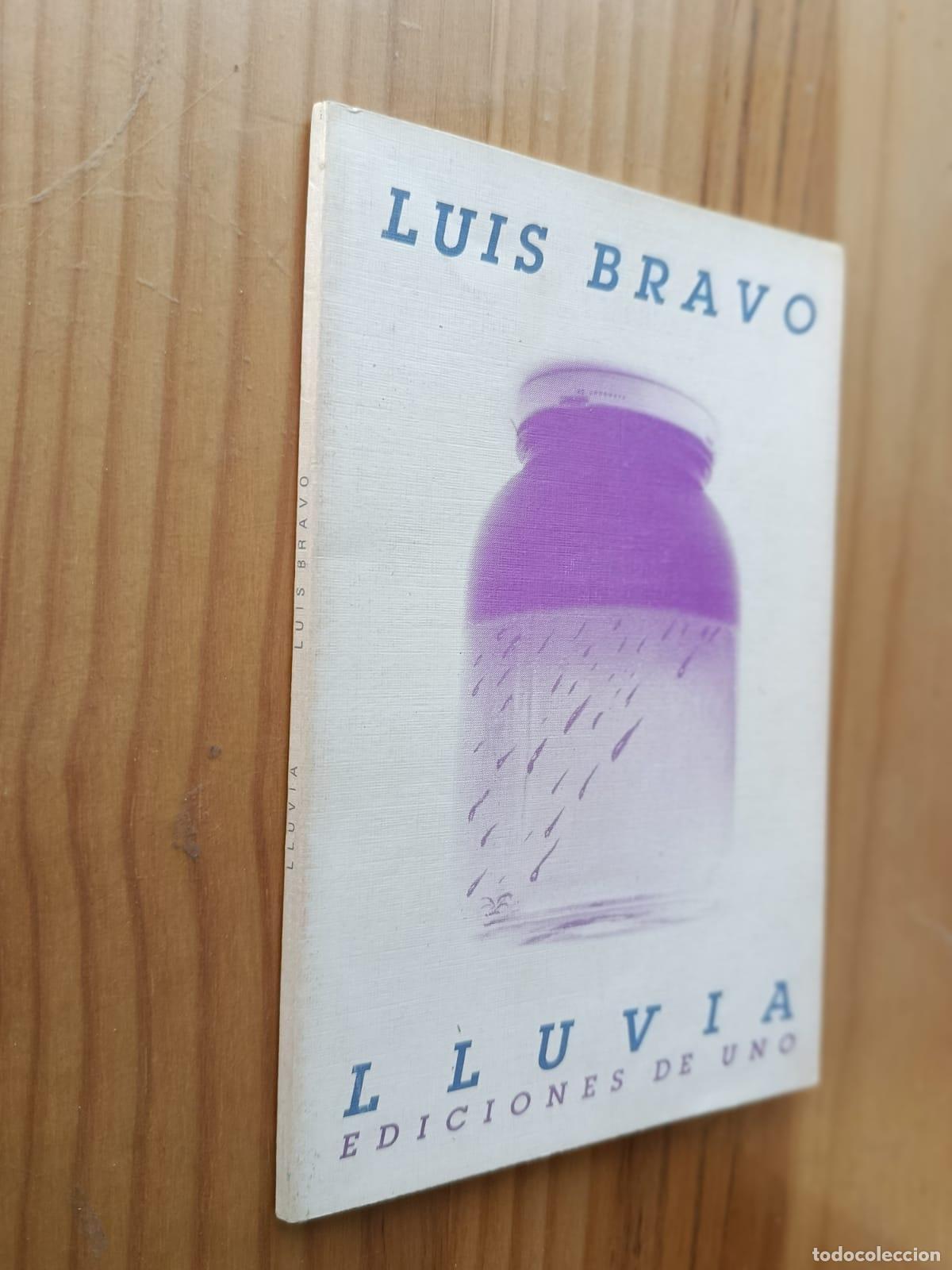 Libros: LLUVIA (EDICIONES DE UNO 1988) - LUIS BRAVO