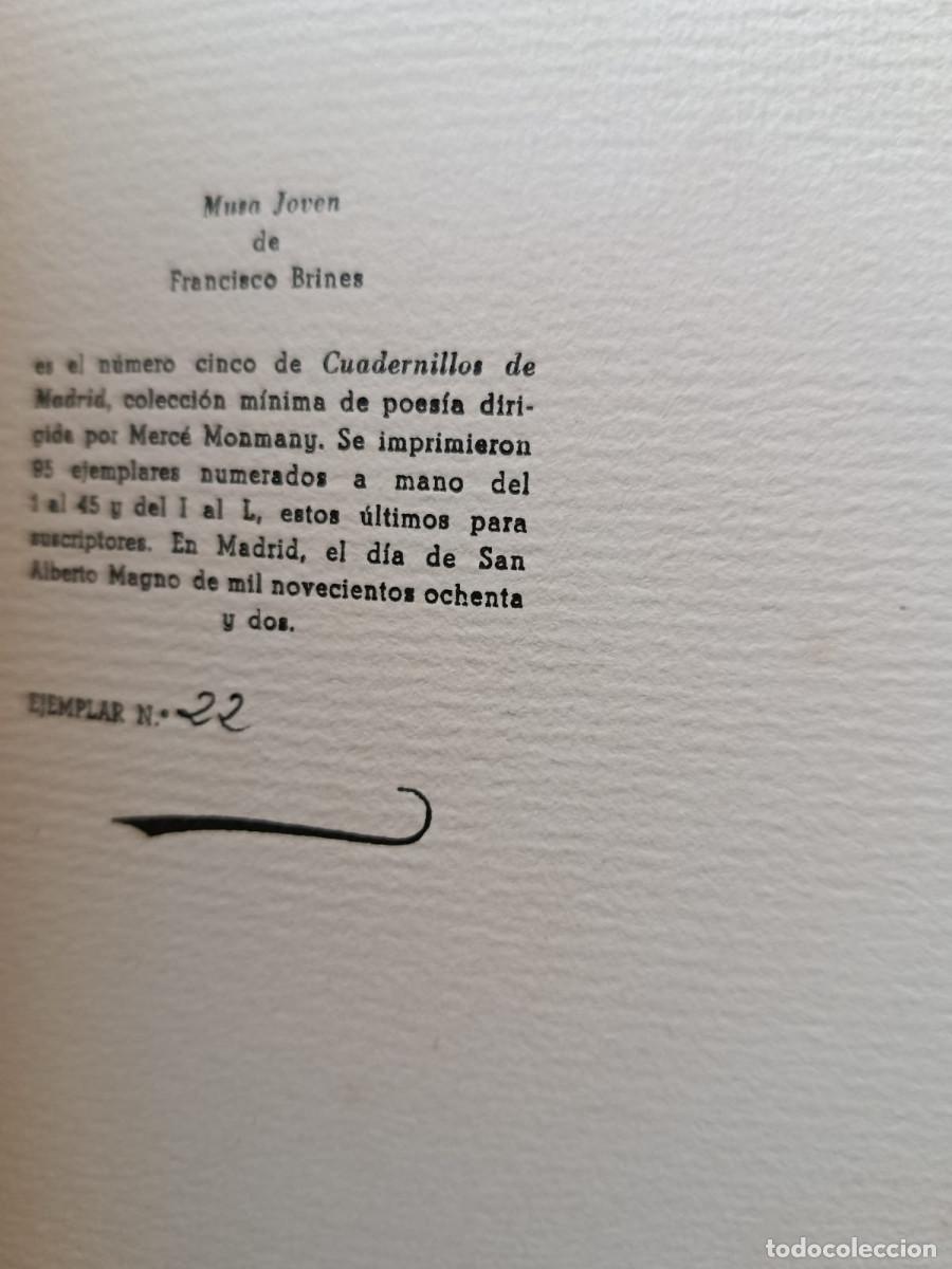Libros: MUSA JOVEN - FRANCISCO BRINES - Foto 2