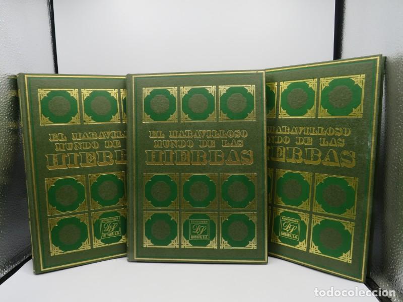 Libros: Lote 8 tomos El maravilloso mundo de las hierbas - Dalmau Socias 1982 - Editors - Falta tomo 4 de 9