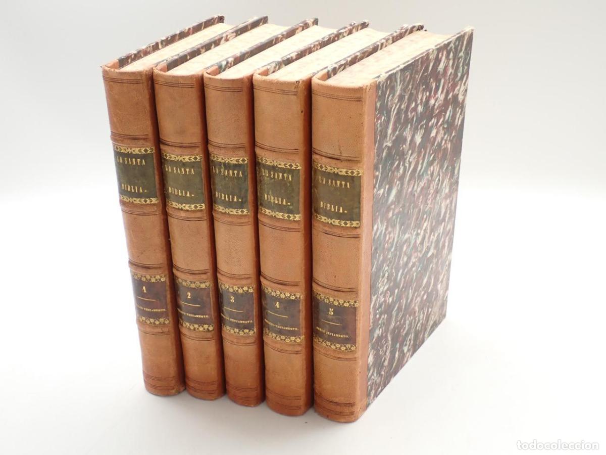 Libros: La Santa Biblia traducida al espa&ntilde;ol de la vulgata latina y anotada conforme al sentido de los Santo