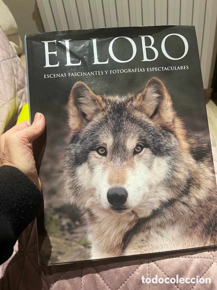 Libros: El lobo parragon Shaun Ellis tapa dura