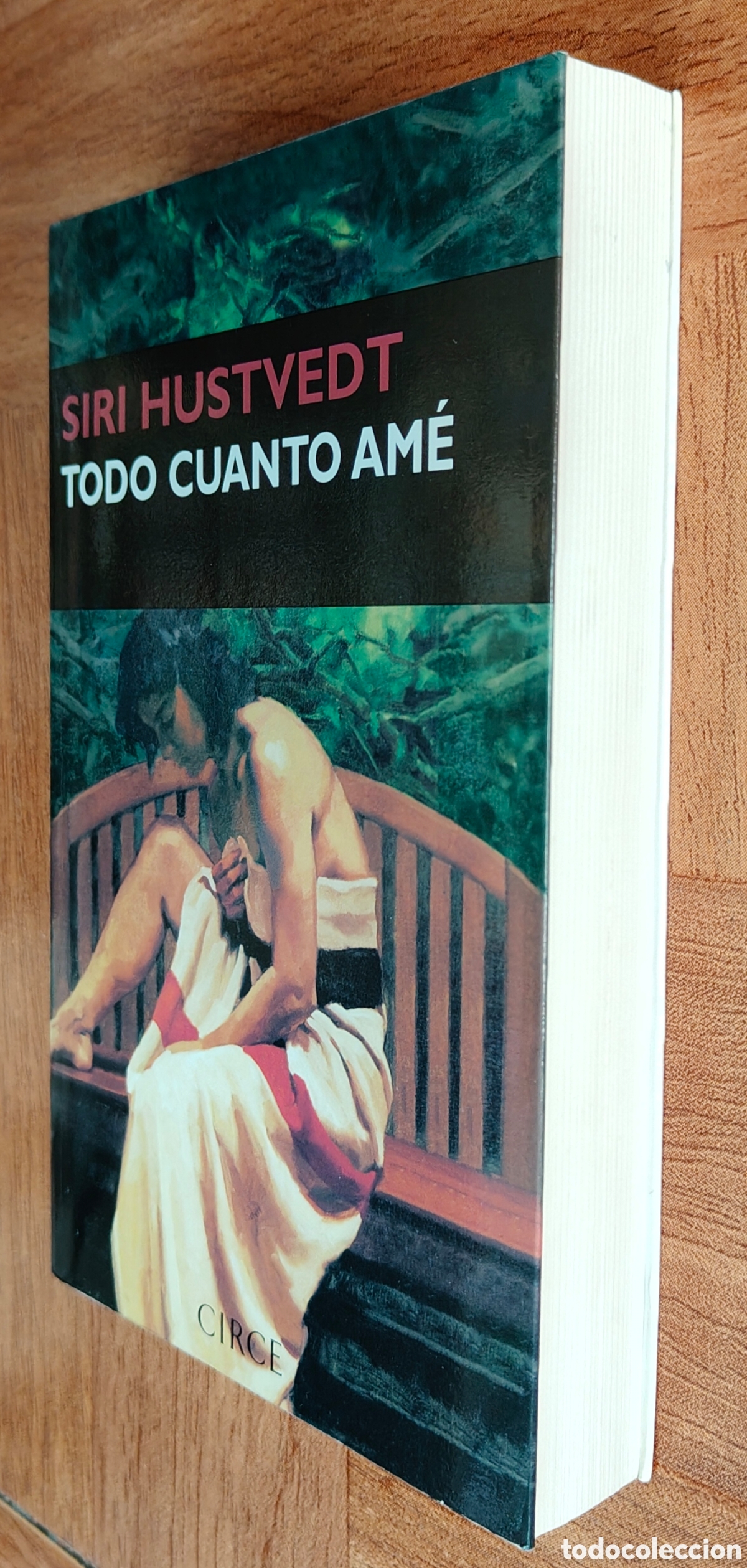 Libros: Todo cuanto am&eacute; - Siri Hustvedt - Foto 2