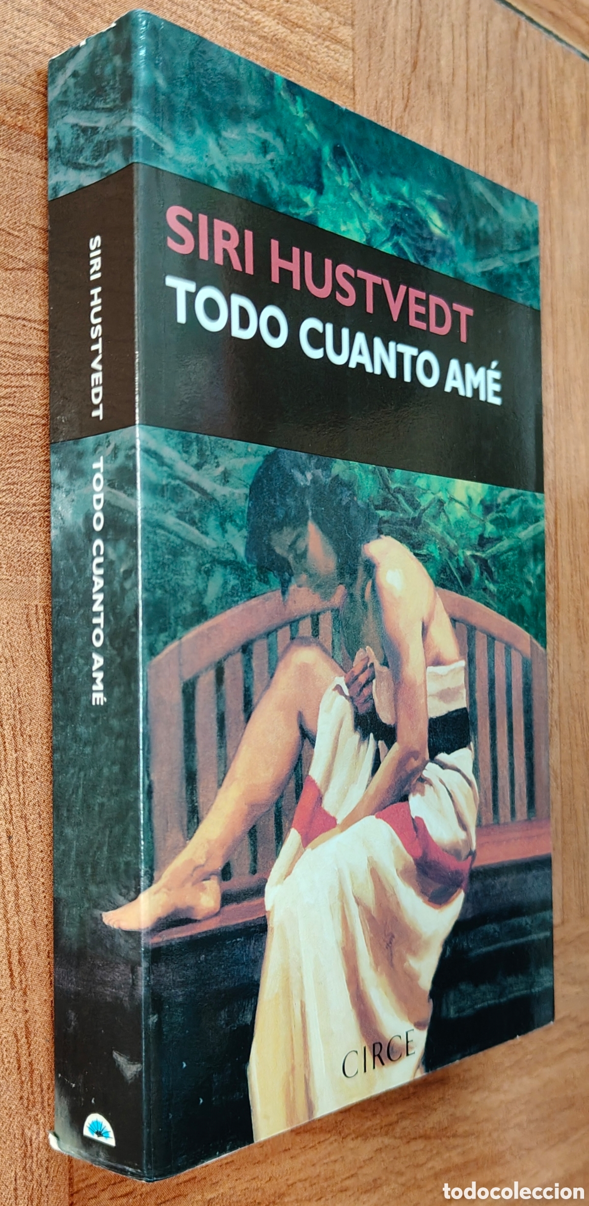 Libros: Todo cuanto am&eacute; - Siri Hustvedt - Foto 1