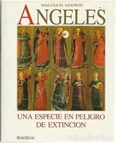 B&uuml;cher: &Aacute;ngeles. Una Especie en Peligro de Extinci&oacute;n- 9788479270216