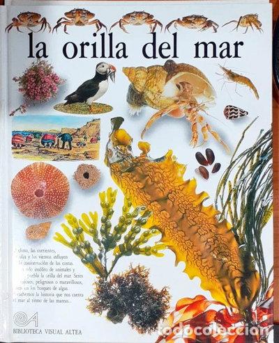 Libros: La orilla del mar- 9788437237213