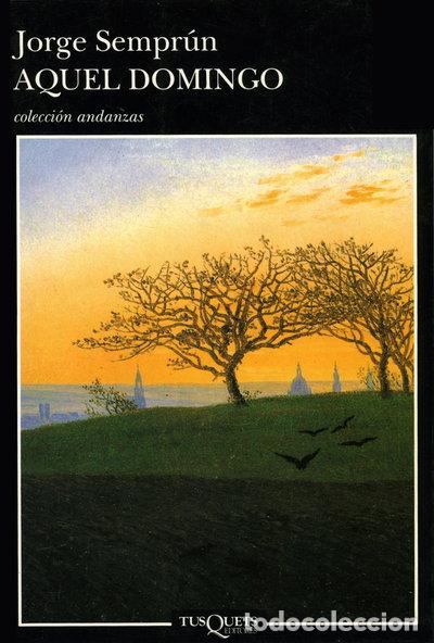 B&uuml;cher: Aquel domingo- 9788483101131