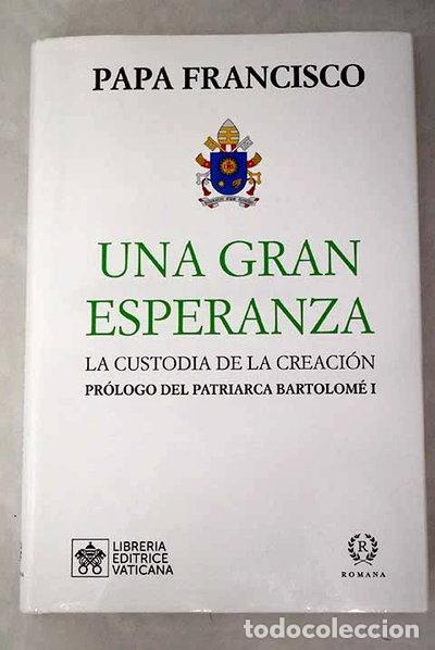 books: Una gran esperanza- 9788415980827