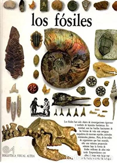 B&uuml;cher: Los f&oacute;siles- 9788437237282