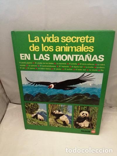 books: La vida secreta de los animales en las monta&ntilde;as- 9788424317119