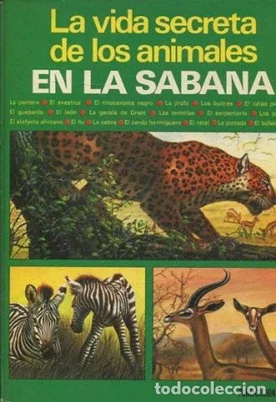 Livros em segunda m&atilde;o: La vida secreta de los animales en la sabana- 9788424317102