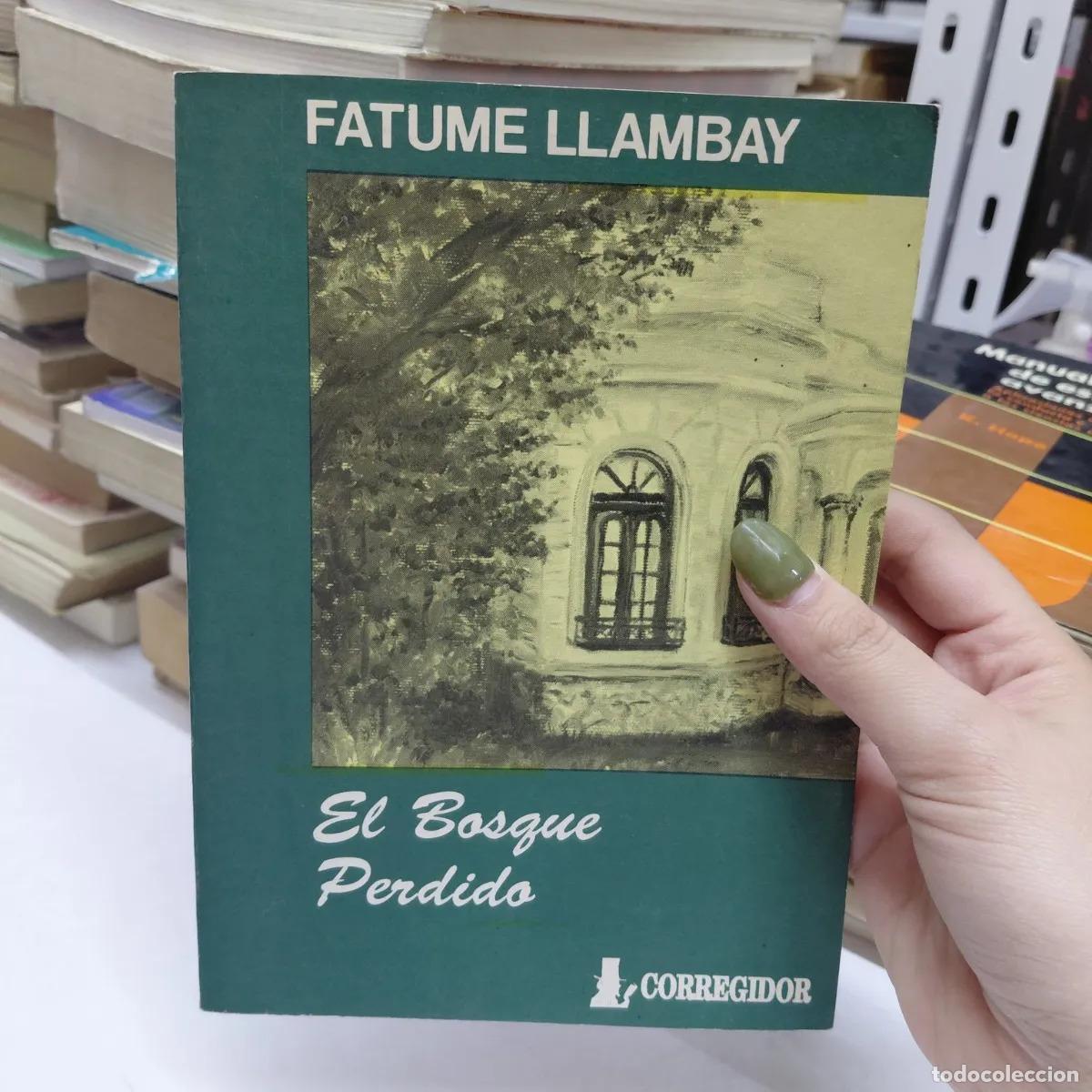 Libros: El bosque perdido - Llambay - Foto 1