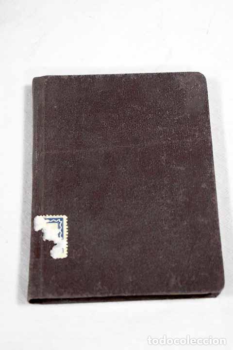 books: Santos Evangelios: : Oriente y Biblia.