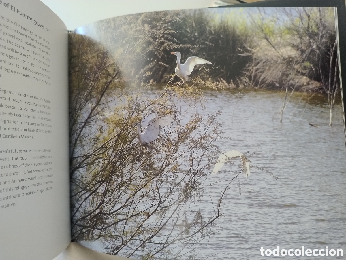 Libros: Gravera el puente. Un negocio sostenible. - Foto 6