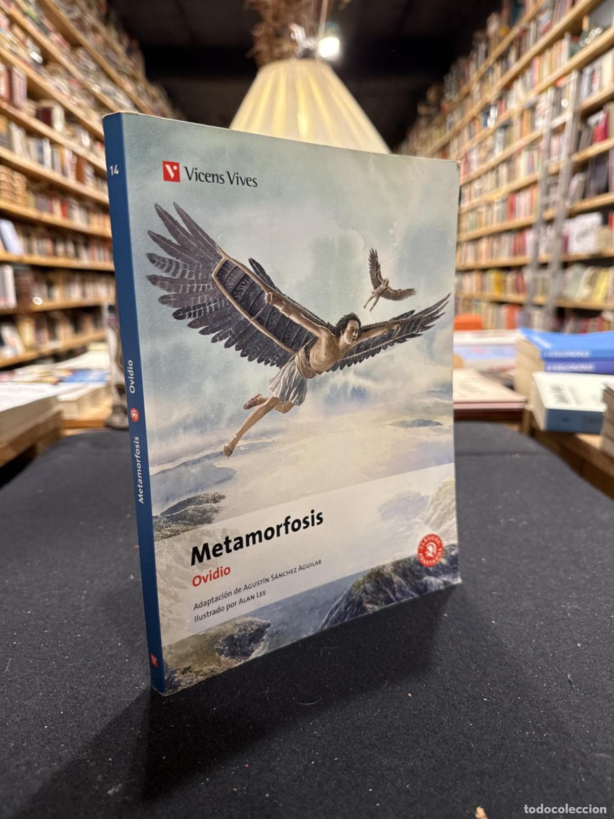 B&uuml;cher: Metamorfosis (clasicos Adaptados) - Agustin Sanchez Aguilar