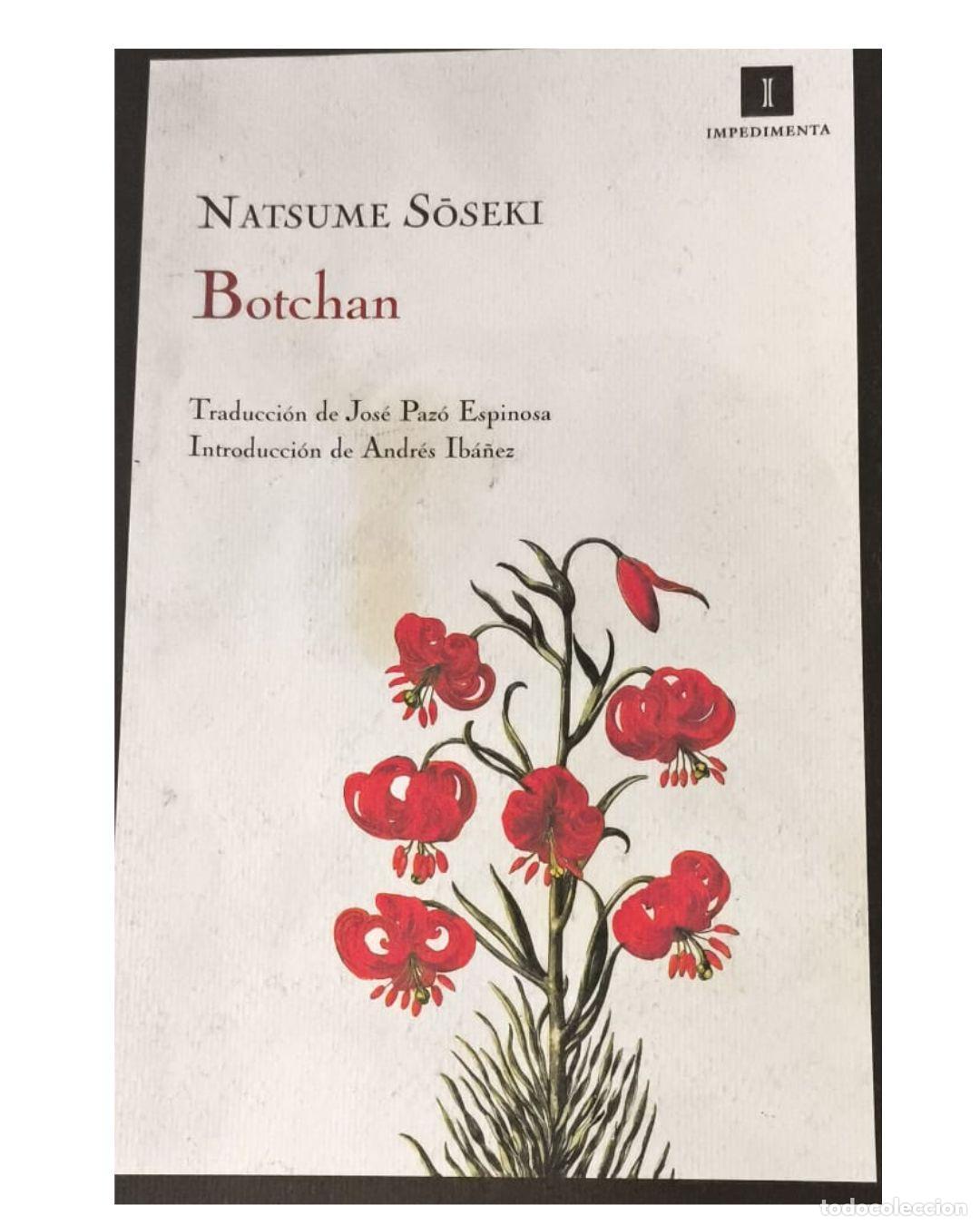Libros: Botchan - Soseki Natsume - Foto 1