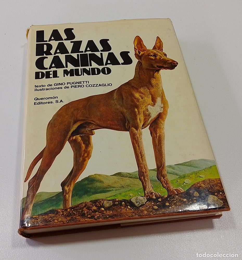 Libros: Las razas caninas del mundo - Gino Pugnetti