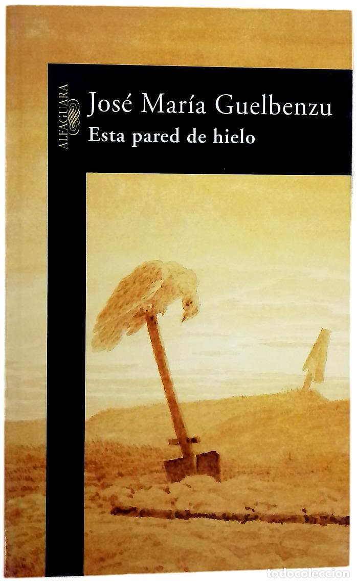 Libri di seconda mano: Esta pared de hielo - Guelbenzu, Jos&eacute; Mar&iacute;a