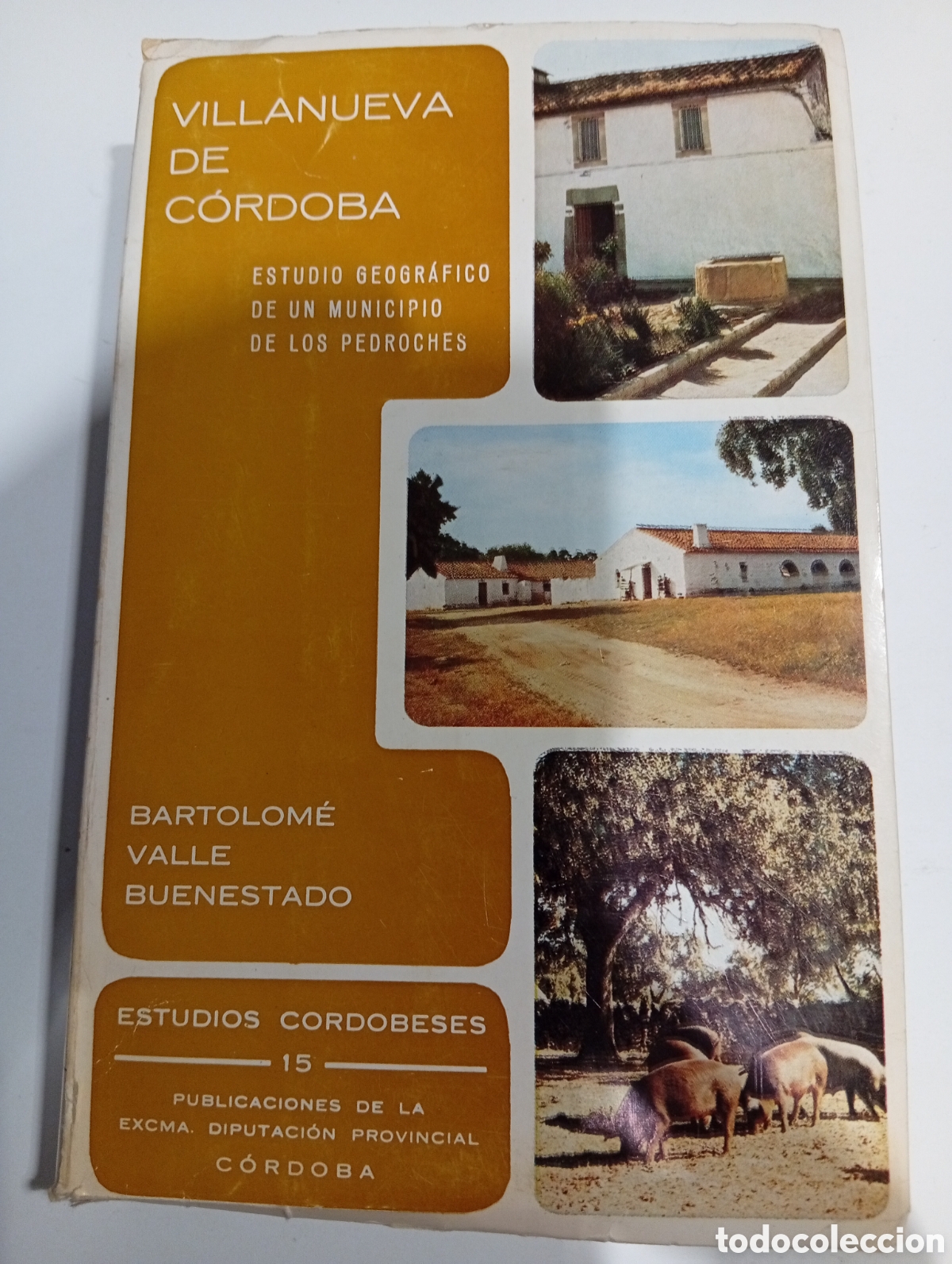 Libros: Villanueva de C&oacute;rdoba Estudio Geogr&aacute;fico de un municipio de los Pedroches Bartolom&eacute; Valle Buenestado