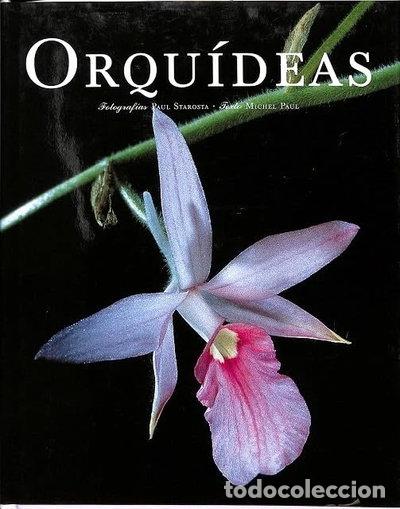 B&uuml;cher: Orqu&iacute;deas- 9783822880364