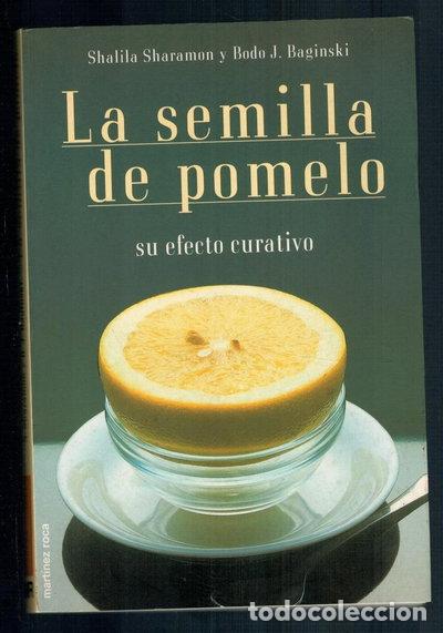 Libros: La semilla de pomelo- 9788427023123 - Foto 1