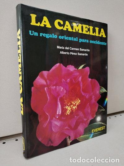 Libros: La Camelia- 9788424146900