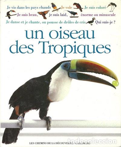 B&uuml;cher: Un oiseau des tropiques- 9782070585021