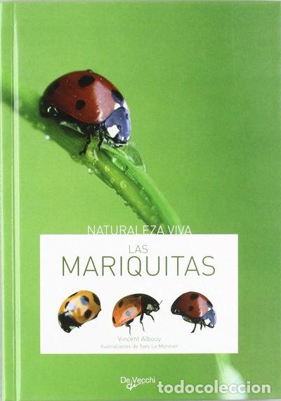 Libros: Las mariquitas- 9788431534905