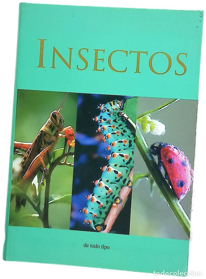 Libros: Insectos - Hook, Patrick - parrangon