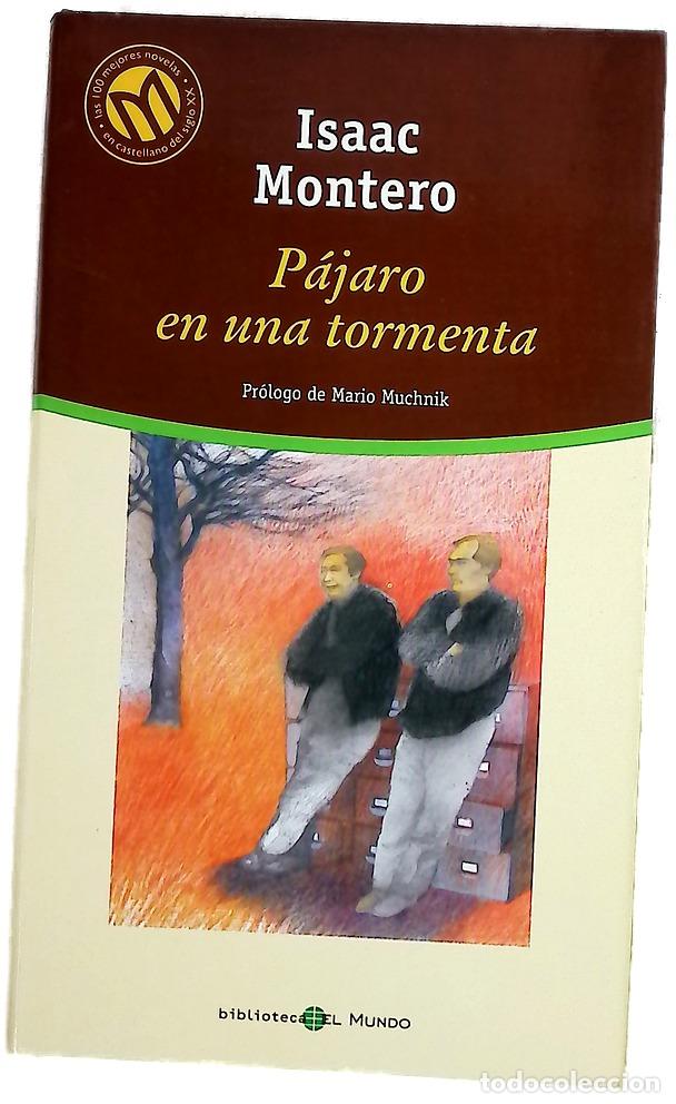 Libros: P&aacute;jaro en una tormenta - Montero, Isaac - Foto 1