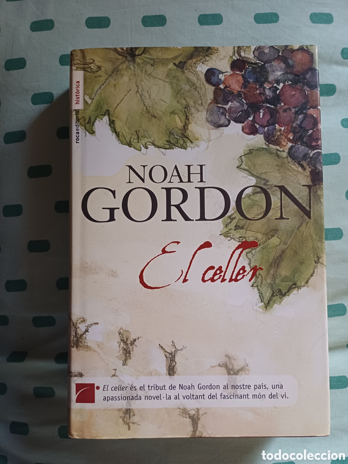 Libros: El Celler Noah Gordon