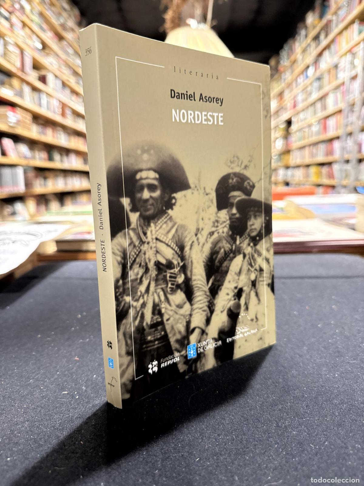 Libros: Nordeste (X Premio de Narrativa Breve Repsol 2016) - Daniel Asorey Vidal