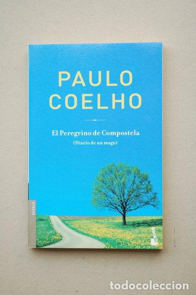Libros: El peregrino de Compostela- 9788408061847