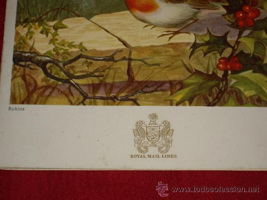 L&iacute;neas de navegaci&oacute;n: CARTA DE MENU DE RESTAURANTE- ROYAL MAIL LINES - Foto 2
