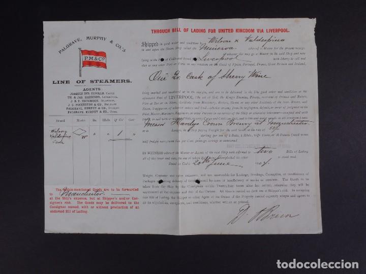 L&iacute;neas de navegaci&oacute;n: PALGRAVE, NURPHY & CO 1904 - Foto 1