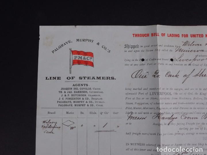 L&iacute;neas de navegaci&oacute;n: PALGRAVE, NURPHY & CO 1904 - Foto 2