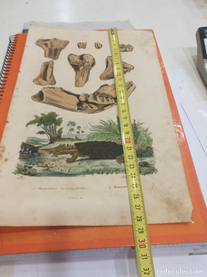 L&iacute;neas de navegaci&oacute;n: Lamina siglo XIX - Foto 2