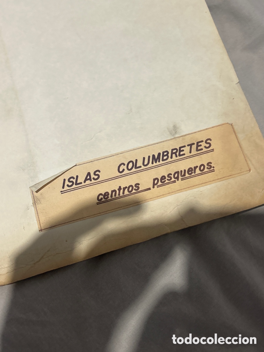 L&iacute;neas de navegaci&oacute;n: Estudio de 1973 de la fauna de las islas columbretes - Foto 3