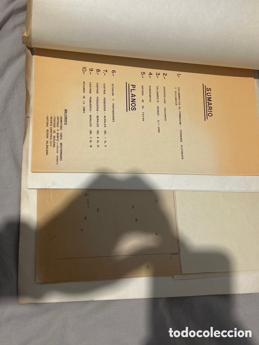 L&iacute;neas de navegaci&oacute;n: Estudio de 1973 de la fauna de las islas columbretes - Foto 4