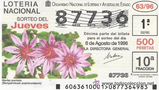 Lotaria Nacional: 1 DECIMO LOTERIA DEL JUEVES - 8 AGOSTO 1996 - 63/96 - FLORES Y PLANTAS - HIERBA PUNTERA