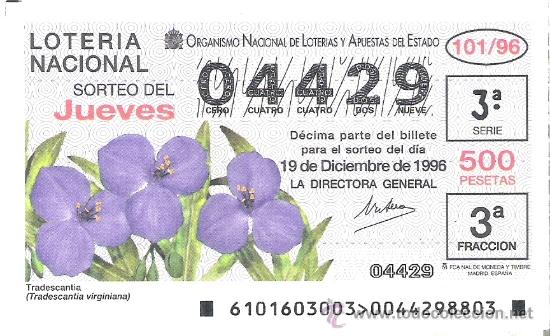 Loterie Nationale: 1 DECIMO LOTERIA DEL JUEVES - 19 DICIEMBRE 1996 - 101/96 - FLORES Y PLANTAS - TRASDECANTIA