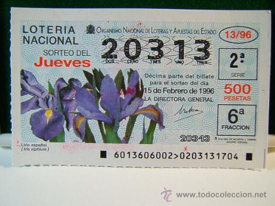 lirio español (iris xiphium) - 15 de febrero de - Comprar ...