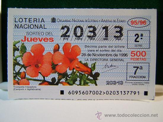 Loter&iacute;a Nacional: TROMPETA TREPADORA (CAMPSIS X TAGLIABUENA)-28 NOVIEMBRE DE 1996-LOTERIA NACIONAL-JUEVES-20313-95/96.