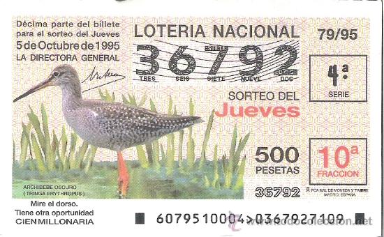 Nationale spanische Lotterie: 1 DECIMO LOTERIA DEL JUEVES - 5 OCTUBRE 1995 - 79/95 - FAUNA - AVES O PAJAROS - ARCHIBEBE OSCURO